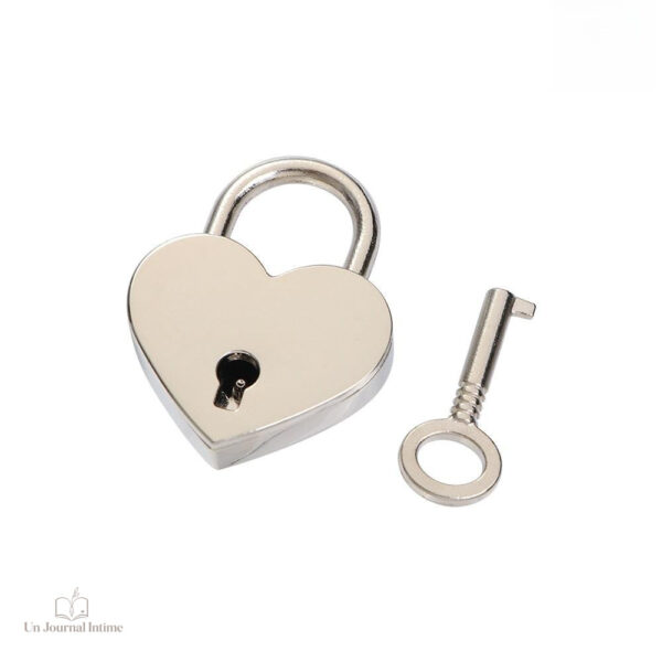 Cadenas pour journal intime coloré et design élégant
