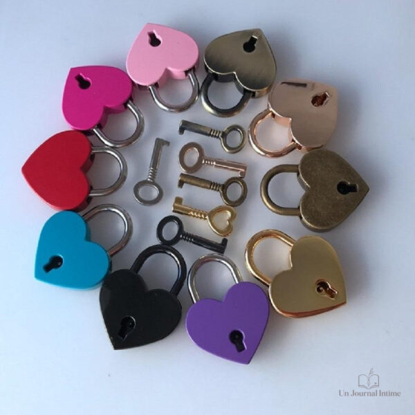 Cadenas compact pour garder vos secrets en sécurité