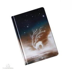 Journal intime ado phosphorescent pour l'écriture nocturne