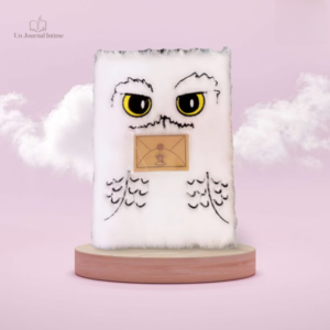 Journal intime Harry Potter avec couverture emblématique