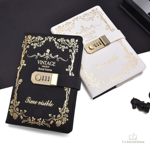 Journal intime pour adultes avec sécurité