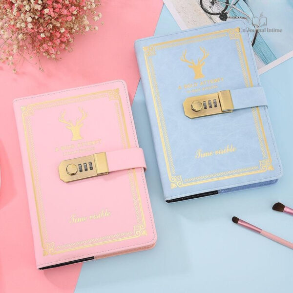 Cahier secret avec code de protection