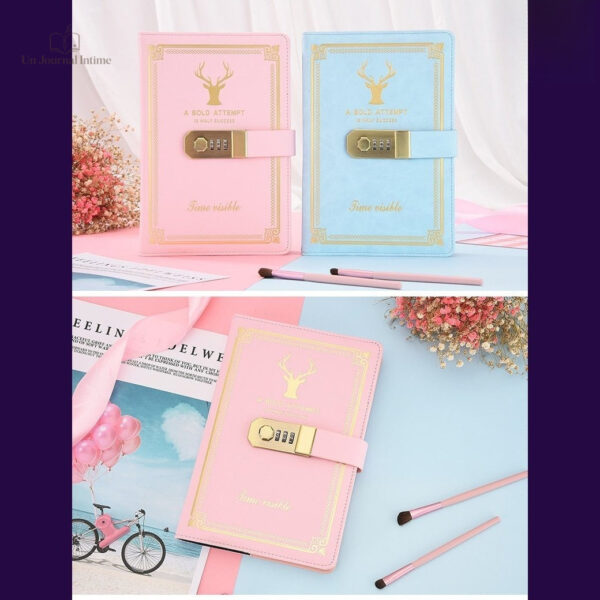 Journal intime avec code pour adultes