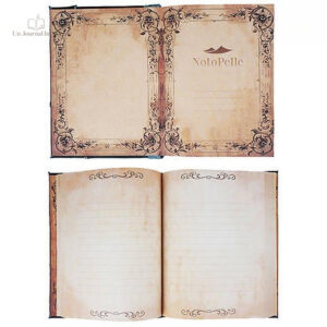 Journal intime fermé avec cadenas coloré