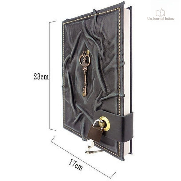 Journal intime avec cadenas, idéal pour les secrets