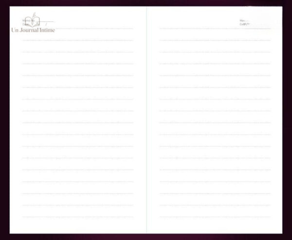 Journal intime coloré avec mécanisme de sécurité