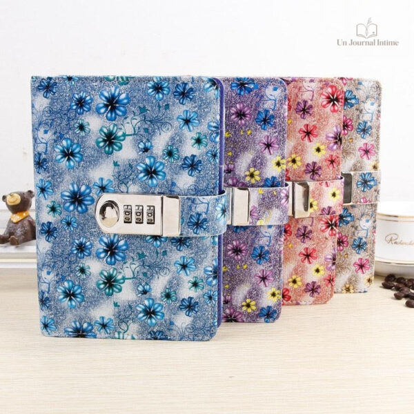 Cadenas pour journal intime, design pratique et fonctionnel