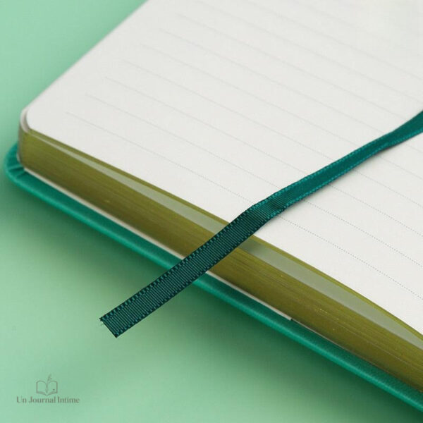 Détail du cadenas sur le journal intime pour femmes