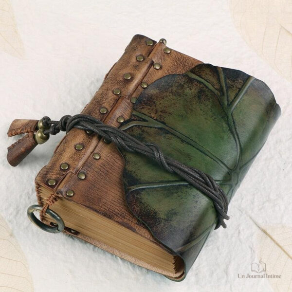 Journal intime pour garçons, pour une écriture intime
