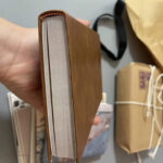 Cahier Indiana Jones pour les mémoires d'aventure