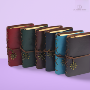 Journal intime ancien en cuir décoratif