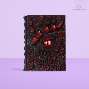 Livre journal intime élégant pour l'expression personnelle